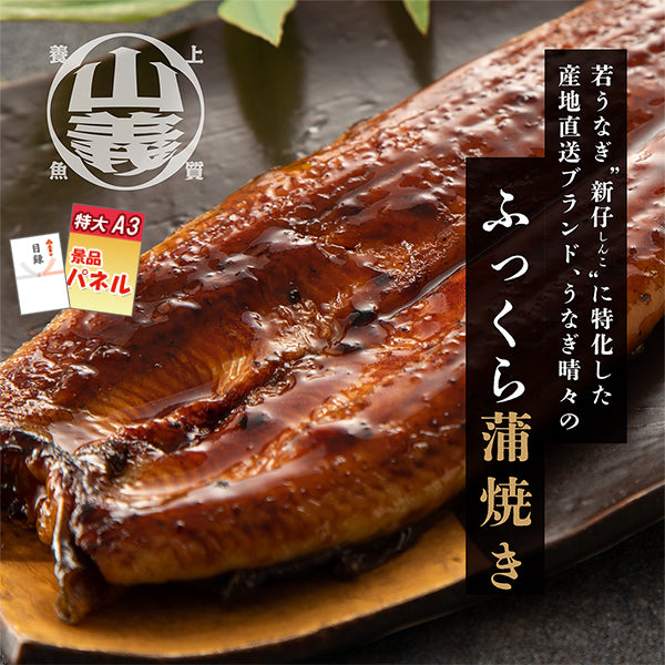【データ納品】国産うなぎ蒲焼 2尾 豊橋・うなぎ晴々 特大A3パネル＆目録 / アネットビンゴ対応